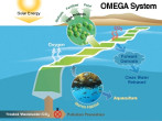 The OMEGA System grows algae, cleans wastewater, captures carbon dioxide and produces biofuel