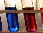 Test Tubes with Red and Blue Samples